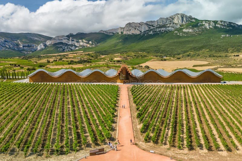 Scopri Spin Winera: l'App di gioco di carte più popolare in Italia